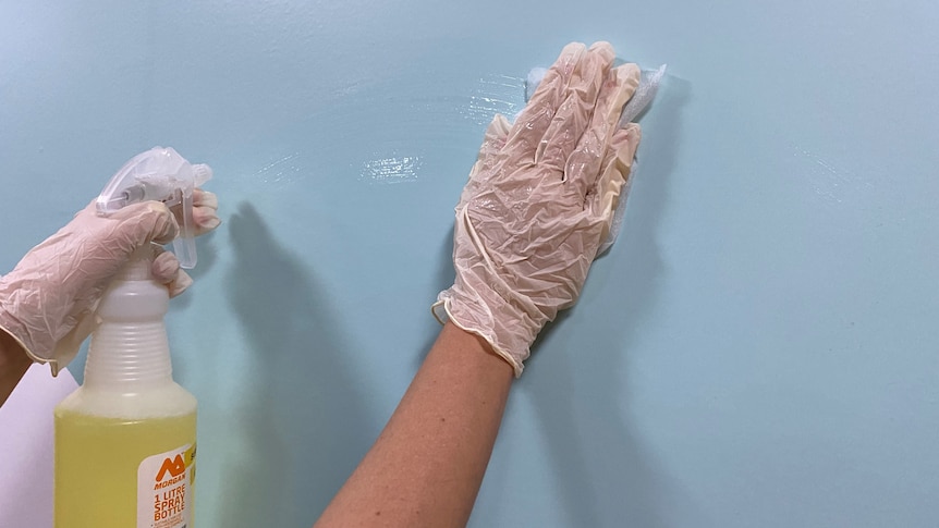 A woman's hands wearing globes holding a spray bottle cleans a blue surface