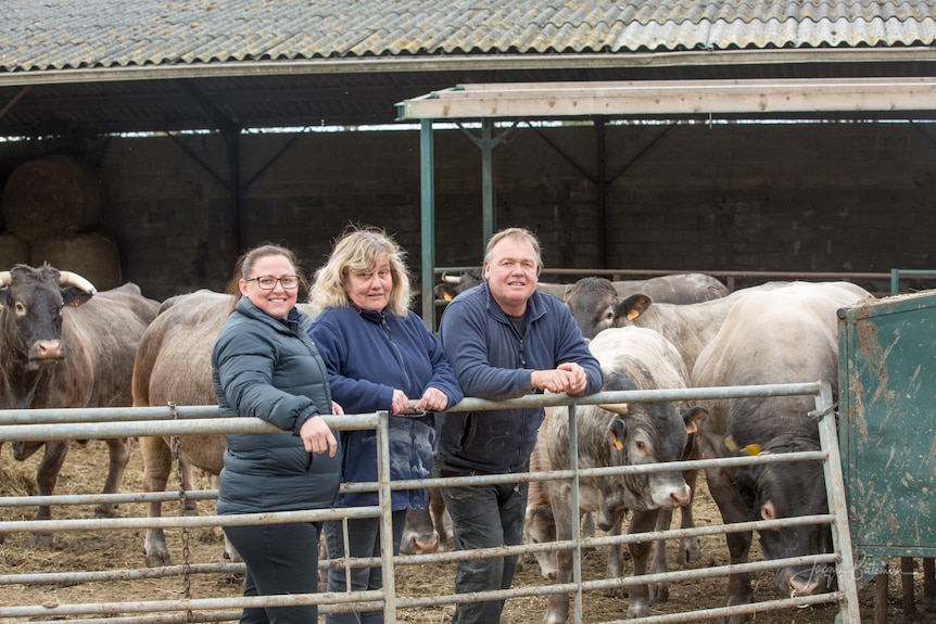 Sonya Comiskey stands in a cattle yard in France with French Bazadaise breeders Caron and Andrew McCulloch.