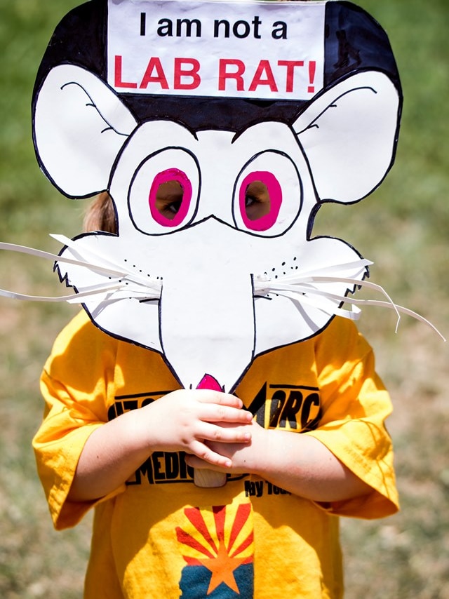 A child wears a rat mask that says "I am not a lab rat".