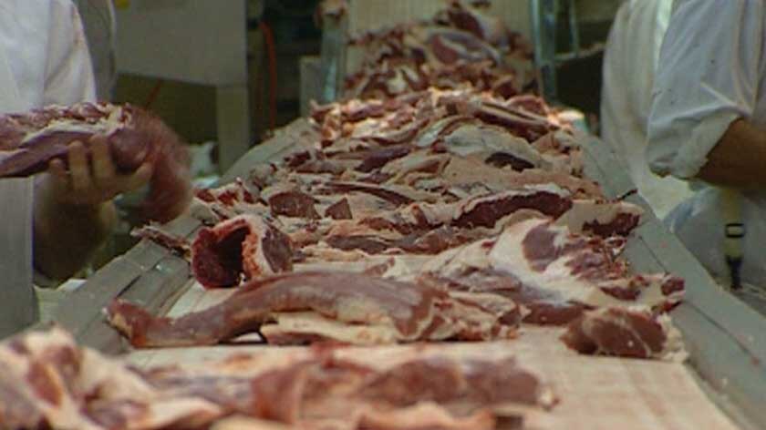 Pieces of meat on an assembly line.