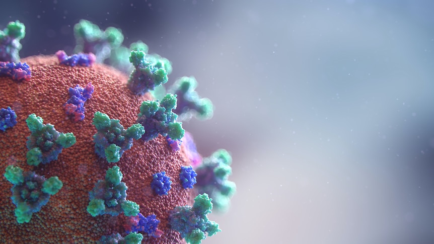 A close-up of the COVID-19 virus as a red ball with green and blue spikes.