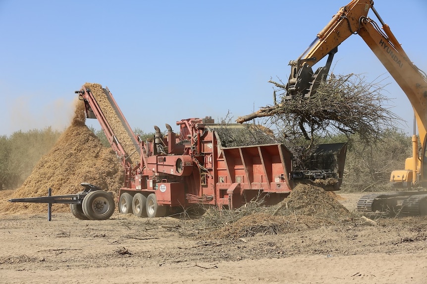 Trees being pulled out and recycled into woodchips.