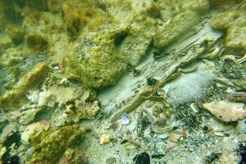 Iron Age shipwreck near Cape Douglas