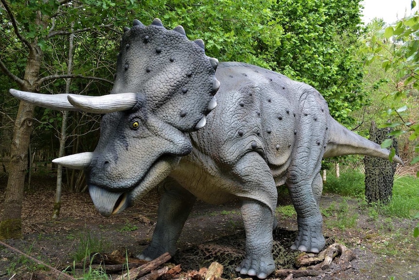Life size model of a triceratops