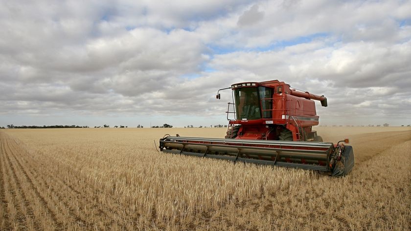 A farmer harvests his field