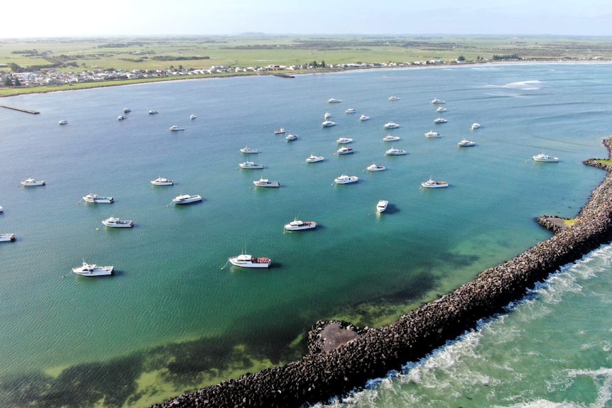 Dozens of white fishing boats are dotted around a marina. A small town can be seen lining the coast.