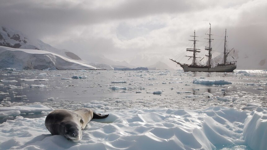Antarctic Photographic exhibition Adventures in Observation Paradise Bay Antarctic Peninsula
