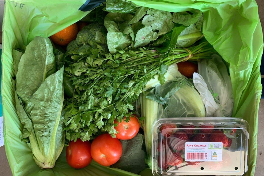 Lettuce, tomatoes, herbs, strawberries and broccoli in a box lined with green plastic.