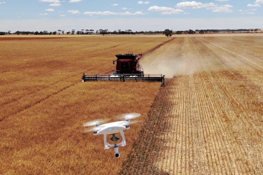 Tim Gentle's drone with a 360-degree camera films a header for part of an immersive video.