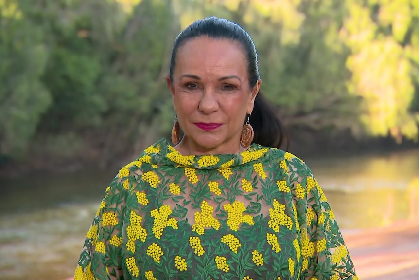 Indigenous Australians Minister Linda Burney standing in front of greenery and looking serious.