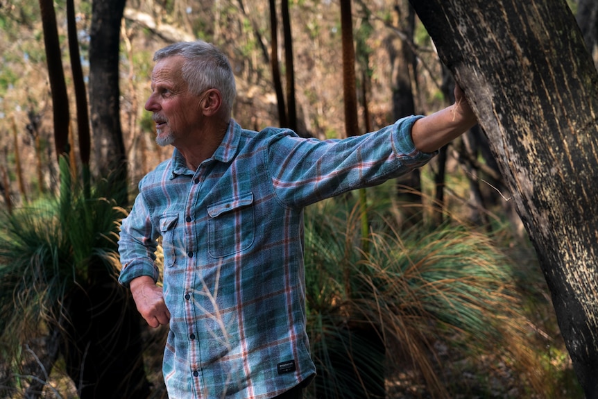 a man leans against a tree in bush.