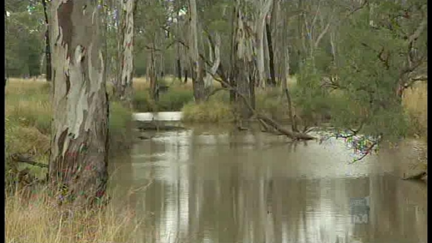 Government tests of Kogan Creek shows levels of hydrocarbons do not exceed stock-watering standards.