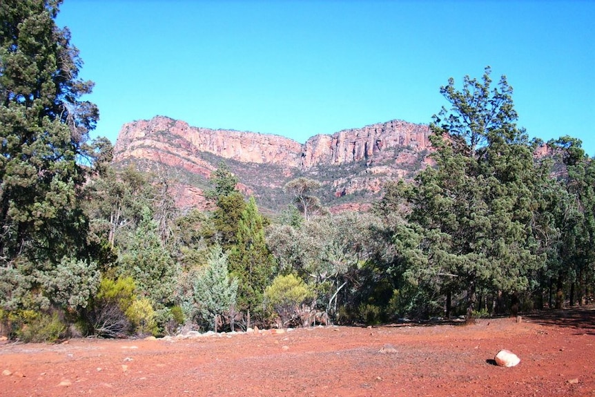 The remote Moonarie climbing region in the Flinders Ranges.
