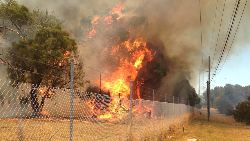 Fire burns behind a fence in Perth's western suburbs