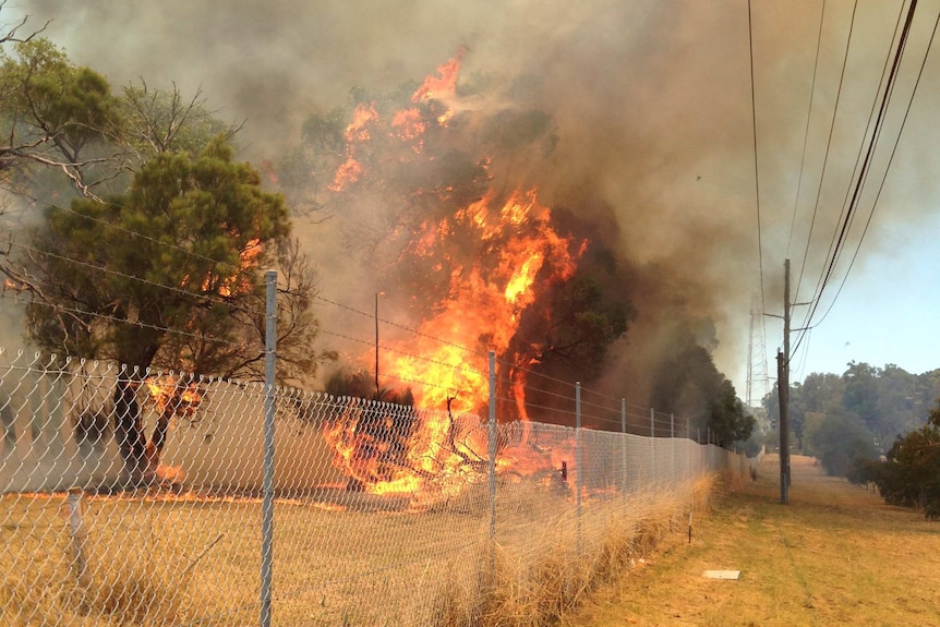Fire burns behind a fence in Perth's western suburbs