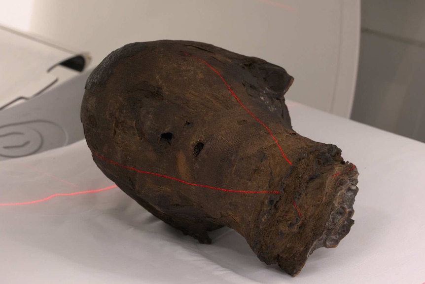The mummified head of an ancient Egyptian woman is scanned