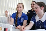 Budding scientists from Melrose High work alongside a pharmacy academic from the University of Canberra.