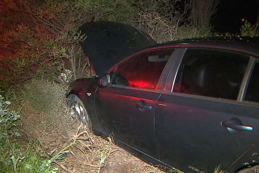A black car with its bonnet open crashed into bushes