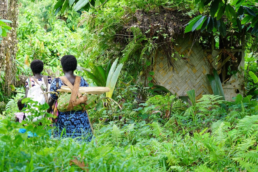 Two women walk through grass with baskets on their back filled with vegetables.