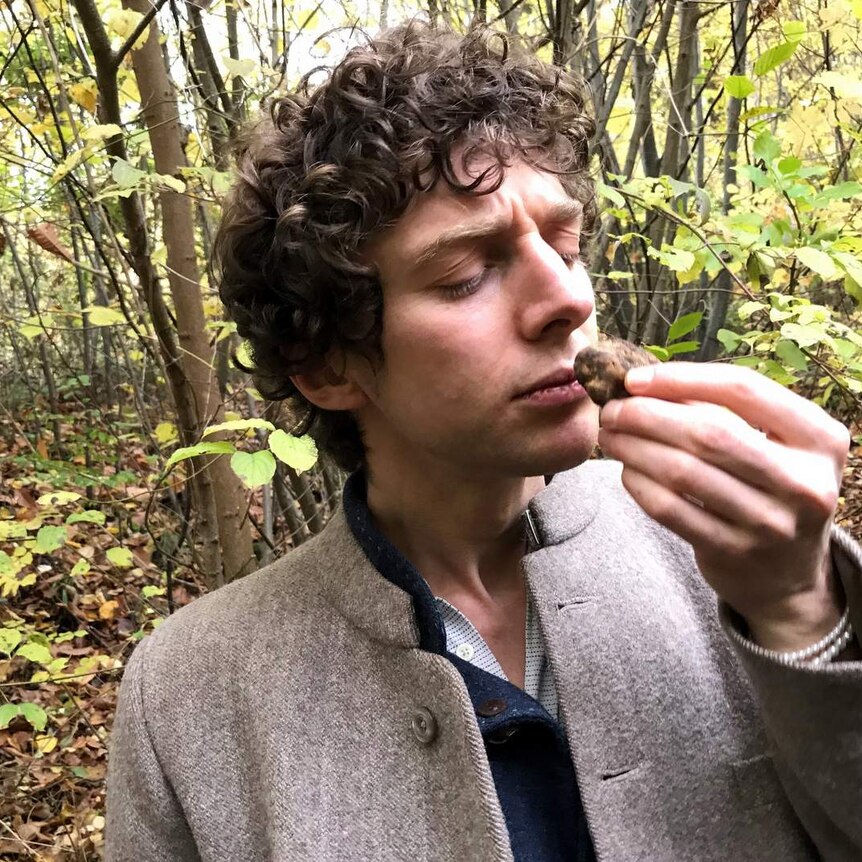 Merlin holds a truffle to his nose in an European wood.