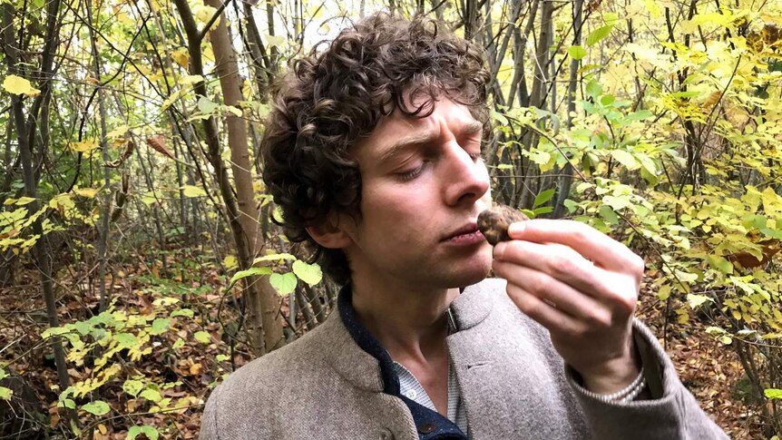 Merlin holds a truffle to his nose in an European wood.