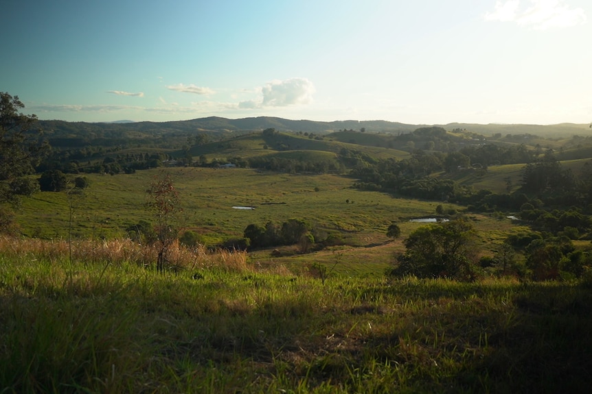 green hills and golden light