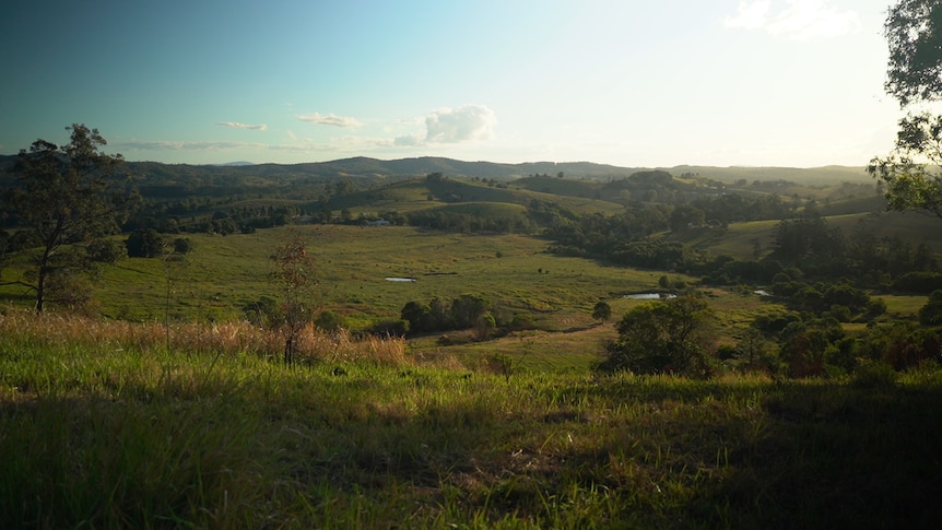 green hills and golden light