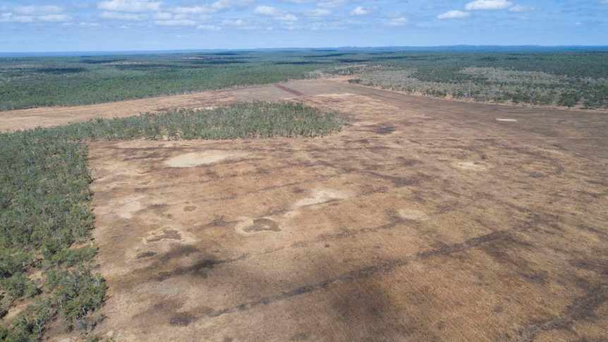 Footage of tree clearing on Cape York’s Olive Vale station and some drone footage (supplied by the ACF) of new cleared sites.
