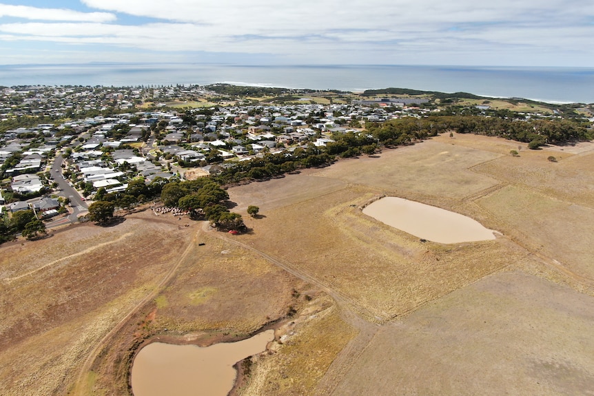 An aerial shot of a coastal town showing housing strethching out to sea and a large piece of undeveloped land next door.