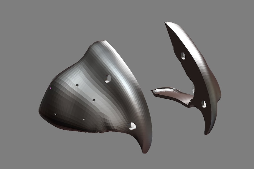 A computer model of a titanium beak