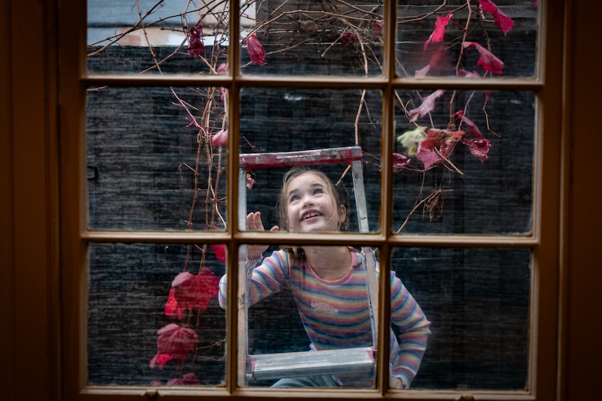 A young white girl is seen through a window climbing up a ladder