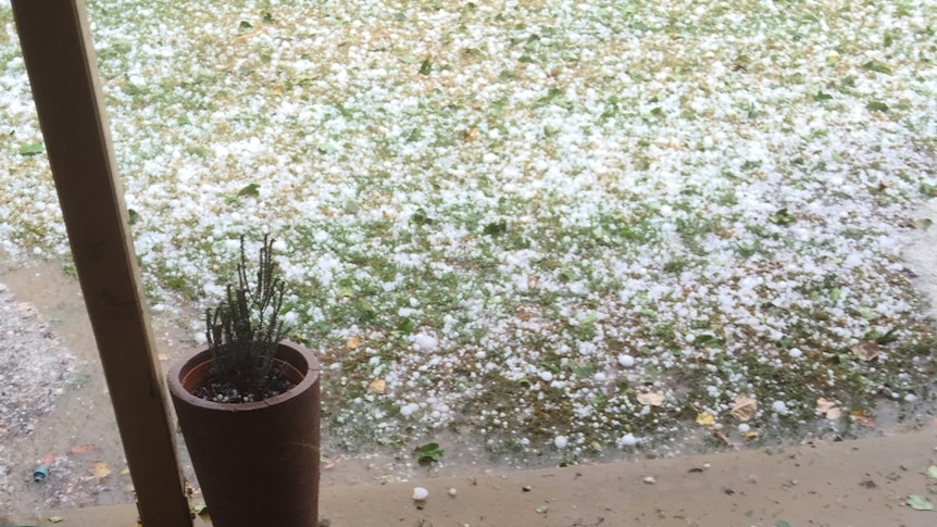 A handful of hail stones at Greta in northern Victoria