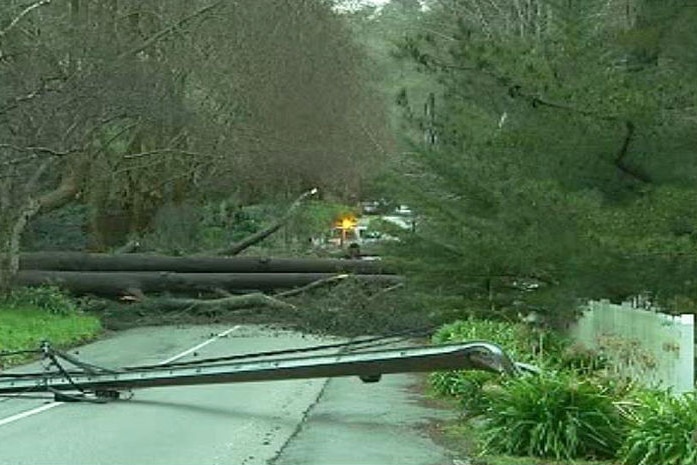 Storm damage in the Adelaide Hills