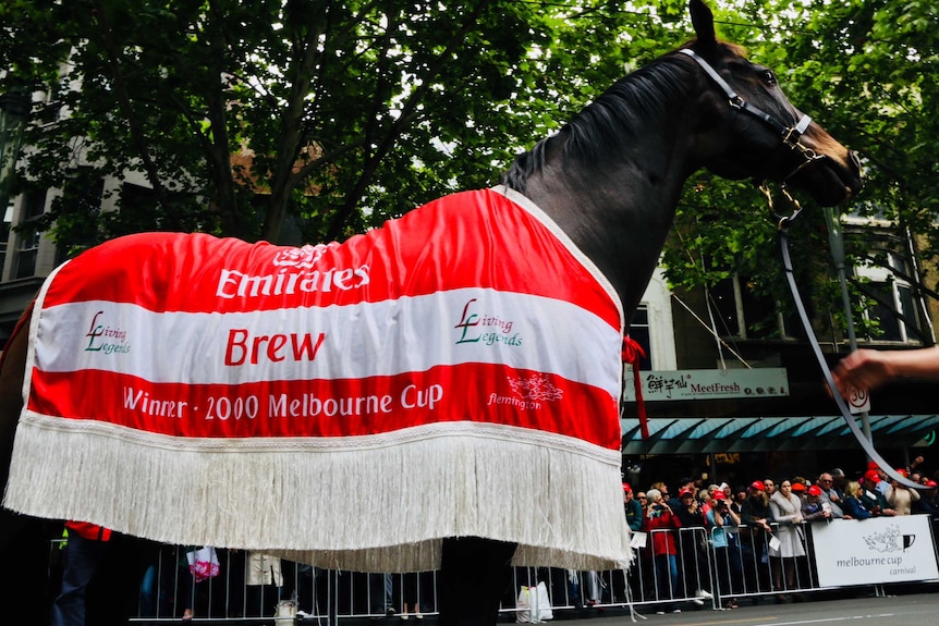 2000 Melbourne Cup winner Brew takes part in the 2017 Melbourne Cup parade.
