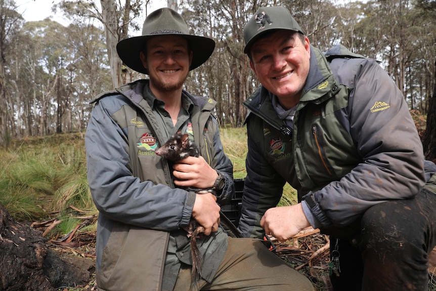 Two animal keepers in jackets and hats, outside in a bushland area, holding a small eastern quoll, a brown marsupial with spots.