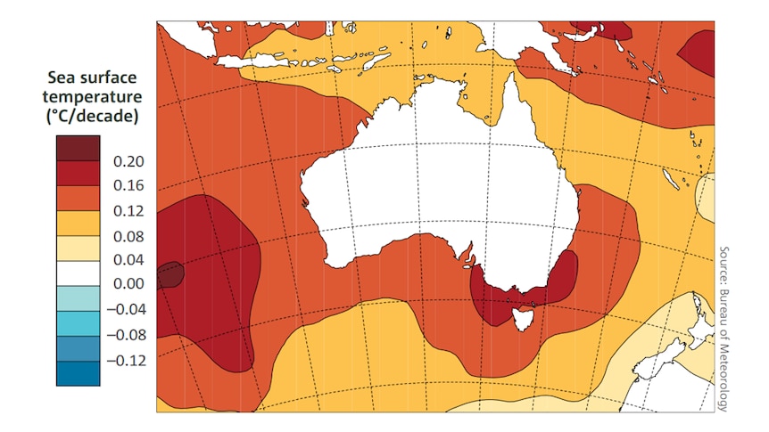 map of oceans around Aus, oceans warming by over 0.16 degrees Celsius in the south east. 0.08 in the eastern tropics. 0.12 rest