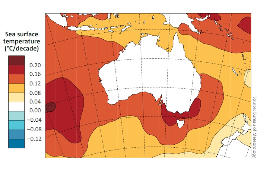 map of oceans around Aus, oceans warming by over 0.16 degrees Celsius in the south east. 0.08 in the eastern tropics. 0.12 rest