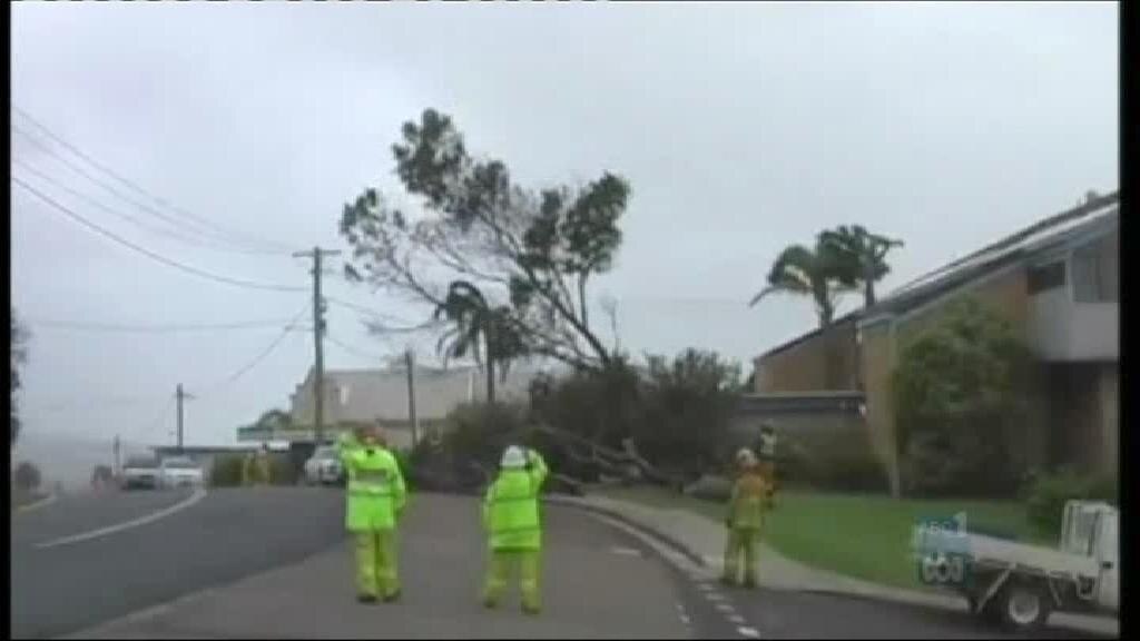 Wild weather on NSW south coast - ABC News