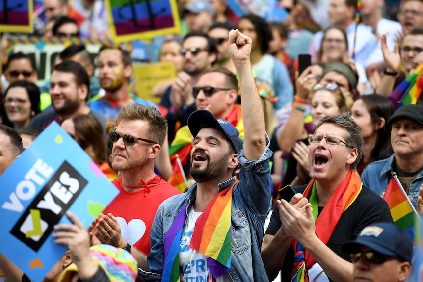 Man with rainbow flag around his neck raises clenched fist surrounded by same-sex marriage supporters at rally