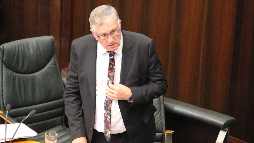 Former Tasmanian Liberal MP Rene Hidding speaks in parliament