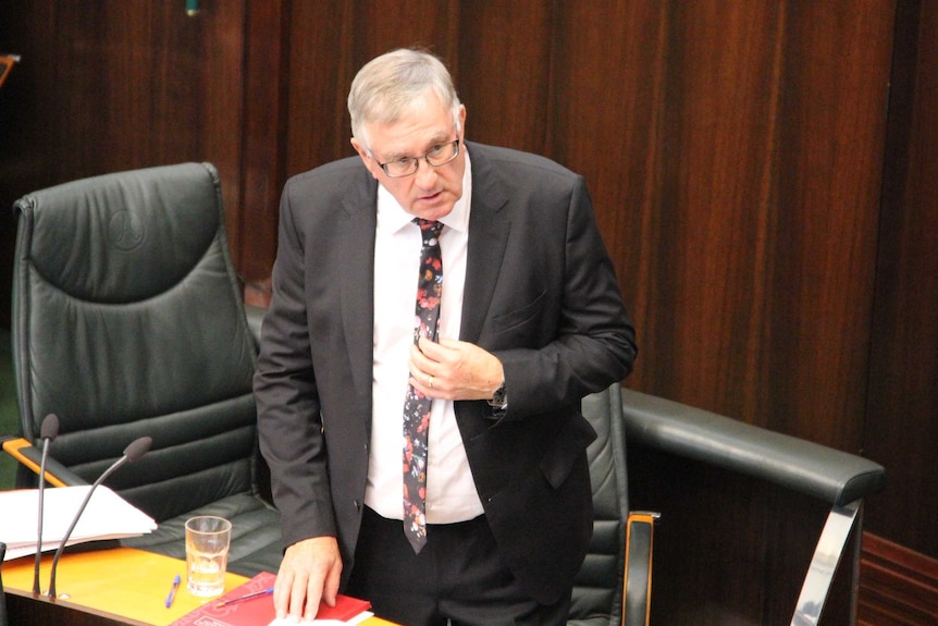 Former Tasmanian Liberal MP Rene Hidding speaks in parliament