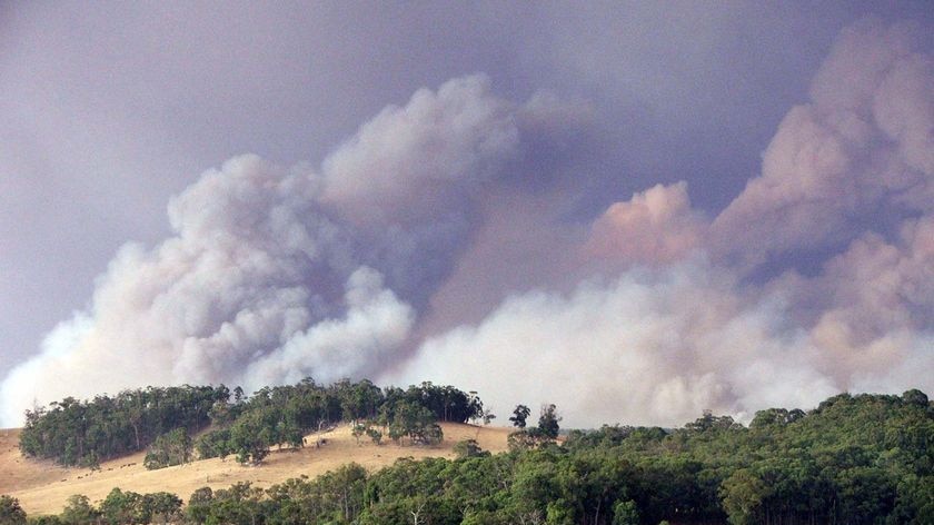 Smoke billows from the bushfires raging in the Bunyip State Park