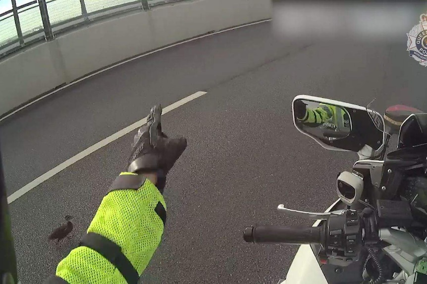 A motorcyclist pointing to a duck to move off the road