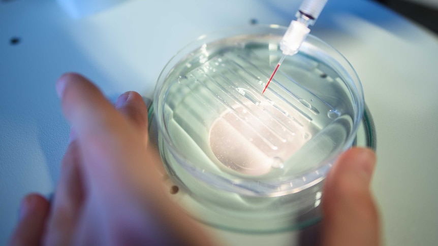 A researcher performing a gene editing experiment at a laboratory in Berlin, Germany.
