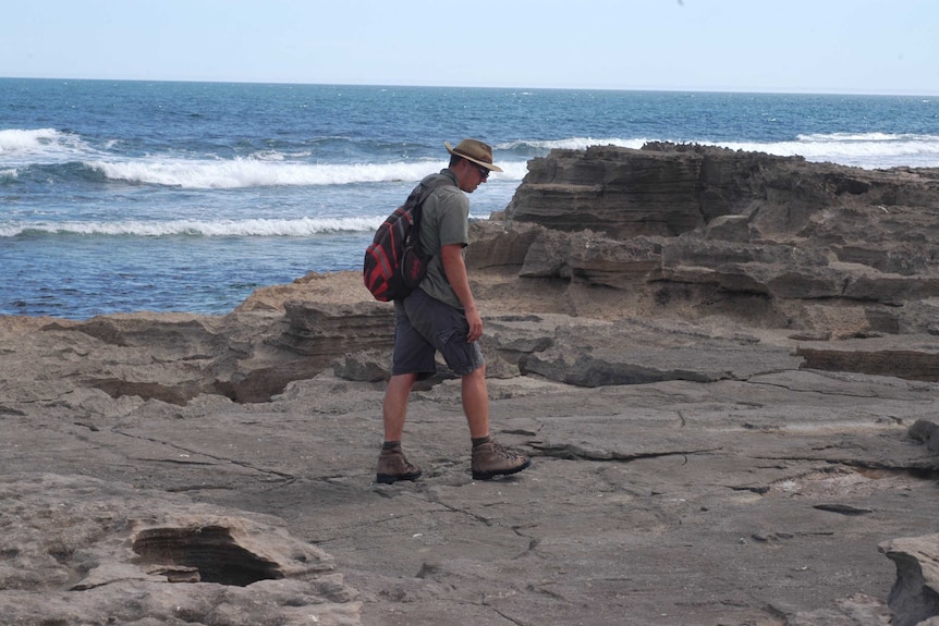 Eyre Peninsula ancient megafauna revealed through skeletal fossils of ...
