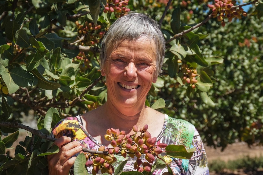 Annmarie Brookman in her pistachio orchard, before she pulled the trees out.