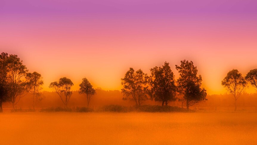A misty landscape with intense purple and orange hues.
