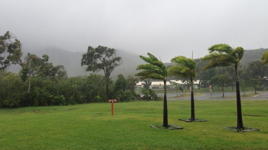 Trees sway as winds intensify in Cooktown