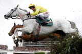Neptunes Collognes clears jump in Grand National