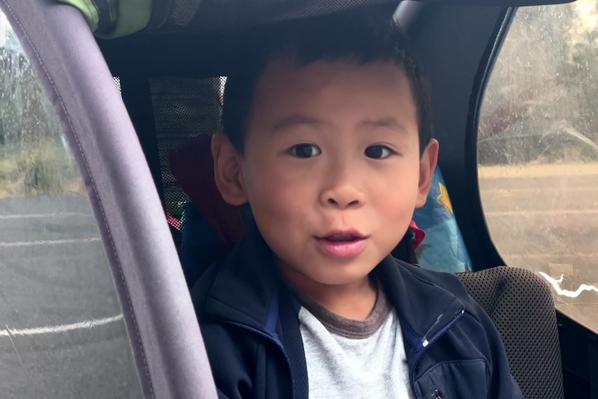 A 5yo Chinese boy with short black hair looks at the camera and grins. 